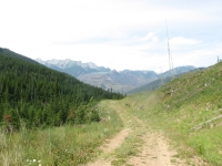 Logging road near South Line Creek